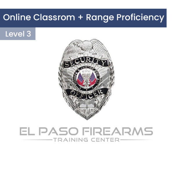 Private Security Level 3
